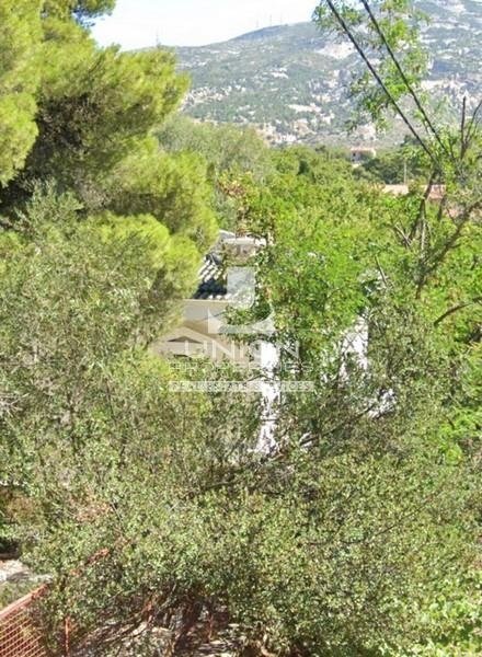 Land in Penteli, Attica, Greece 4 - 17785598