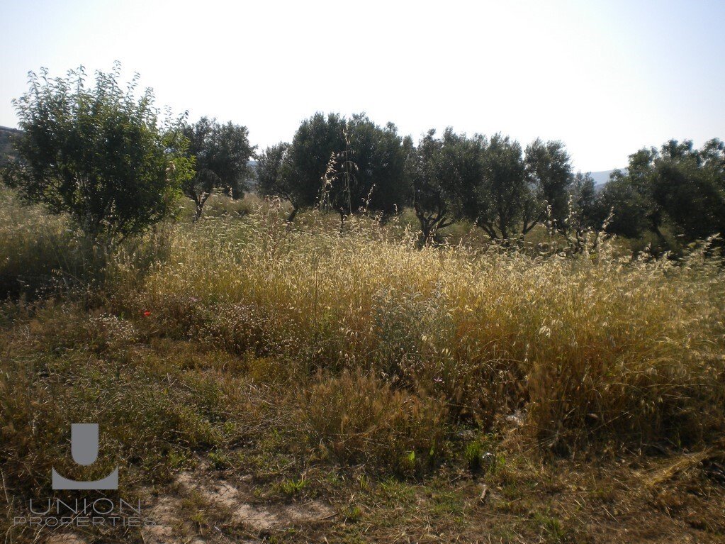 Land in Kropia, Attica, Greece 2 - 17785594