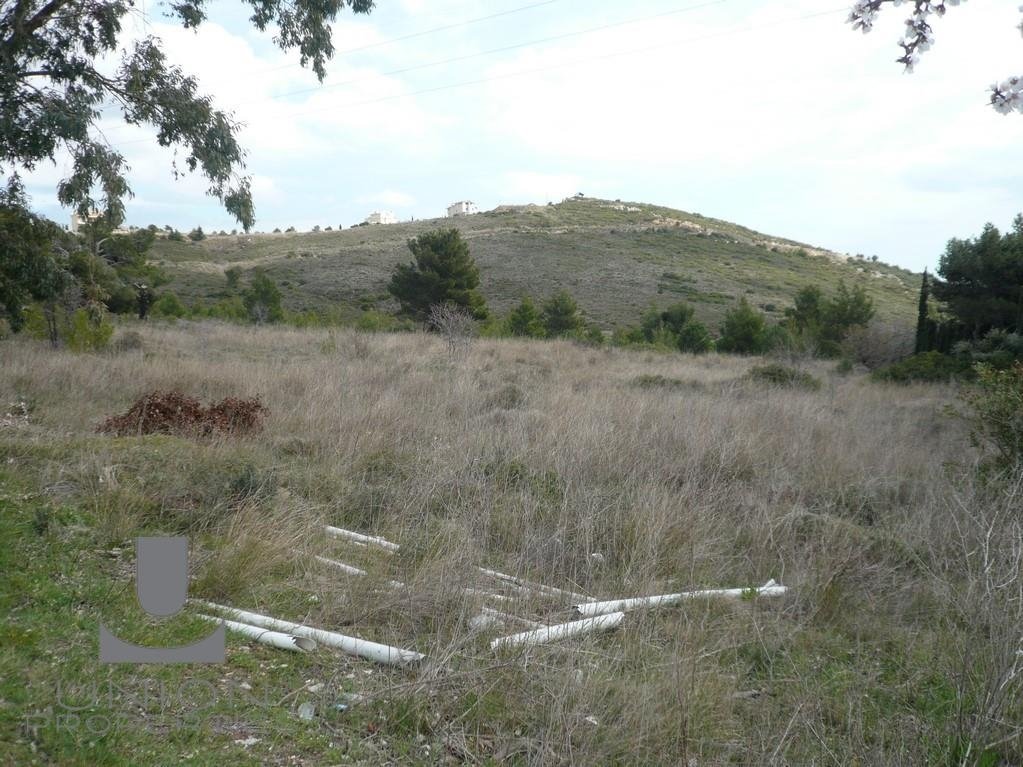 Land in Penteli, Attica, Greece 4 - 17789333