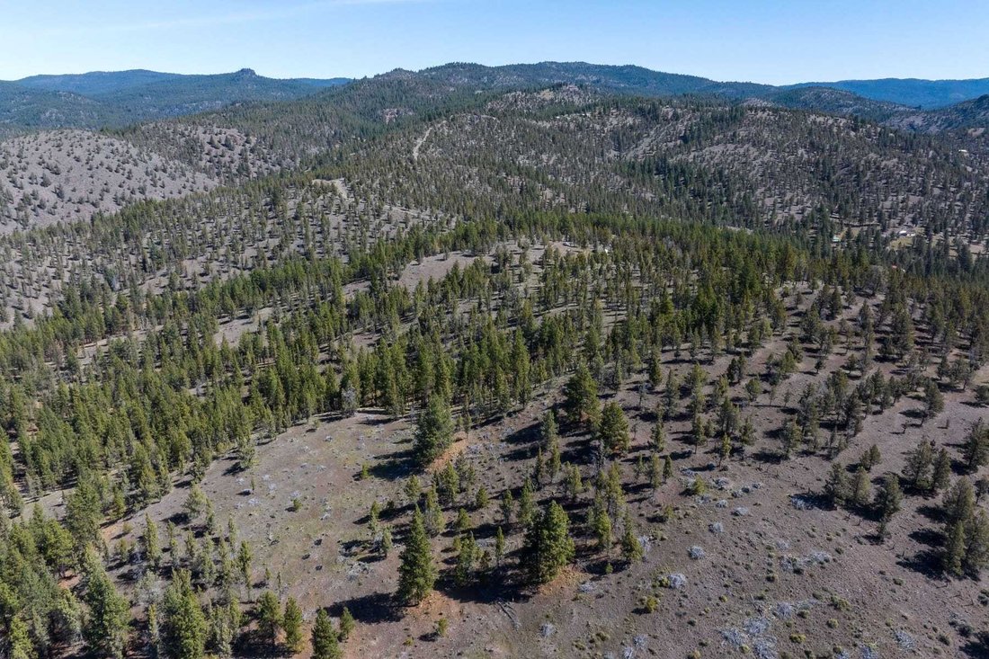 Land in Prineville, Oregon, United States 3 - 17785462