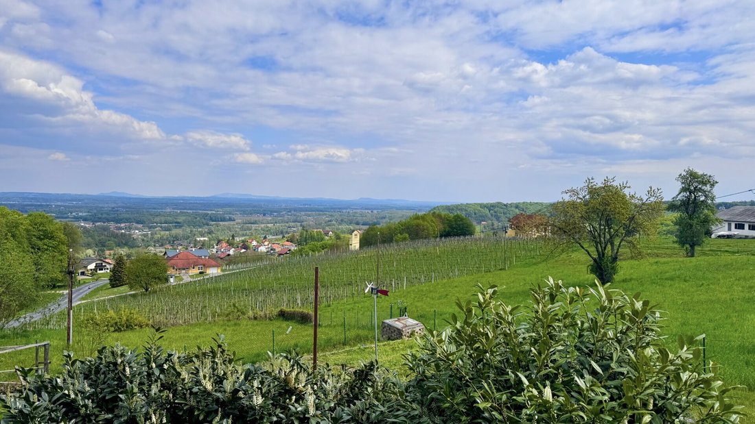 Bungalow in Vogau, Styria, Austria 1 - 17785240