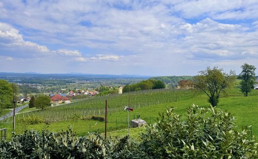 Bungalow in Vogau, Styria, Austria 1