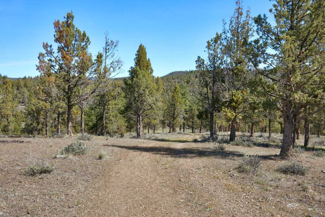 Land in Prineville, Oregon, United States 5 - 17785462