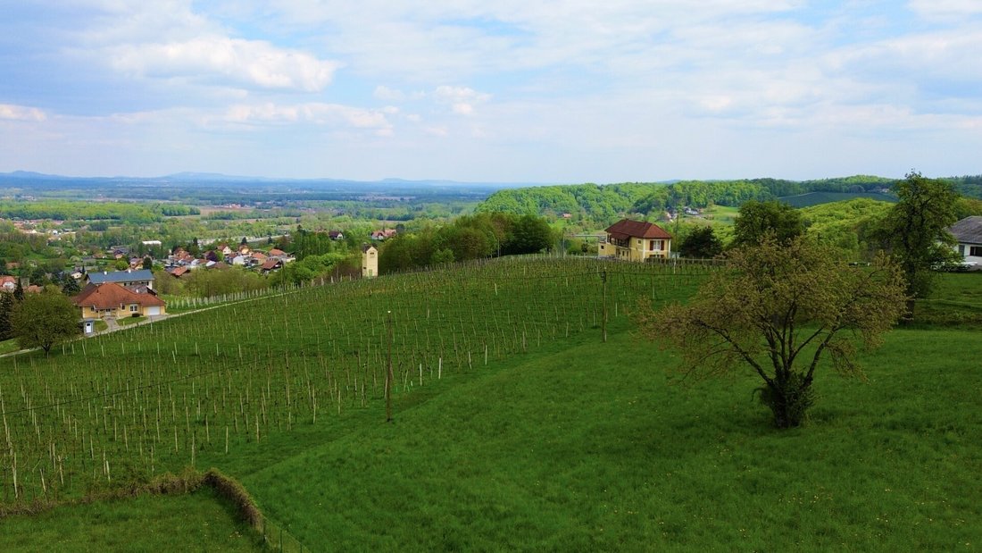 Bungalow in Vogau, Styria, Austria 4 - 17785240
