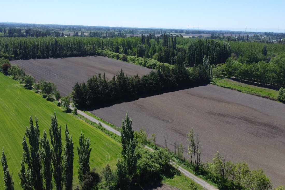 Farm Ranch in Los Angeles, Bio Bio, Chile 1 - 17785766