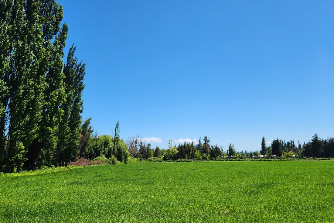 Farm Ranch in Los Angeles, Bio Bio, Chile 4 - 17785766