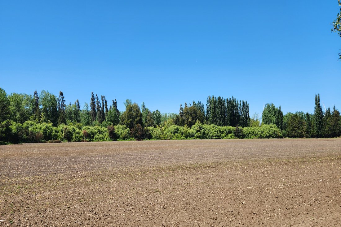 Farm Ranch in Los Angeles, Bio Bio, Chile 5 - 17785766
