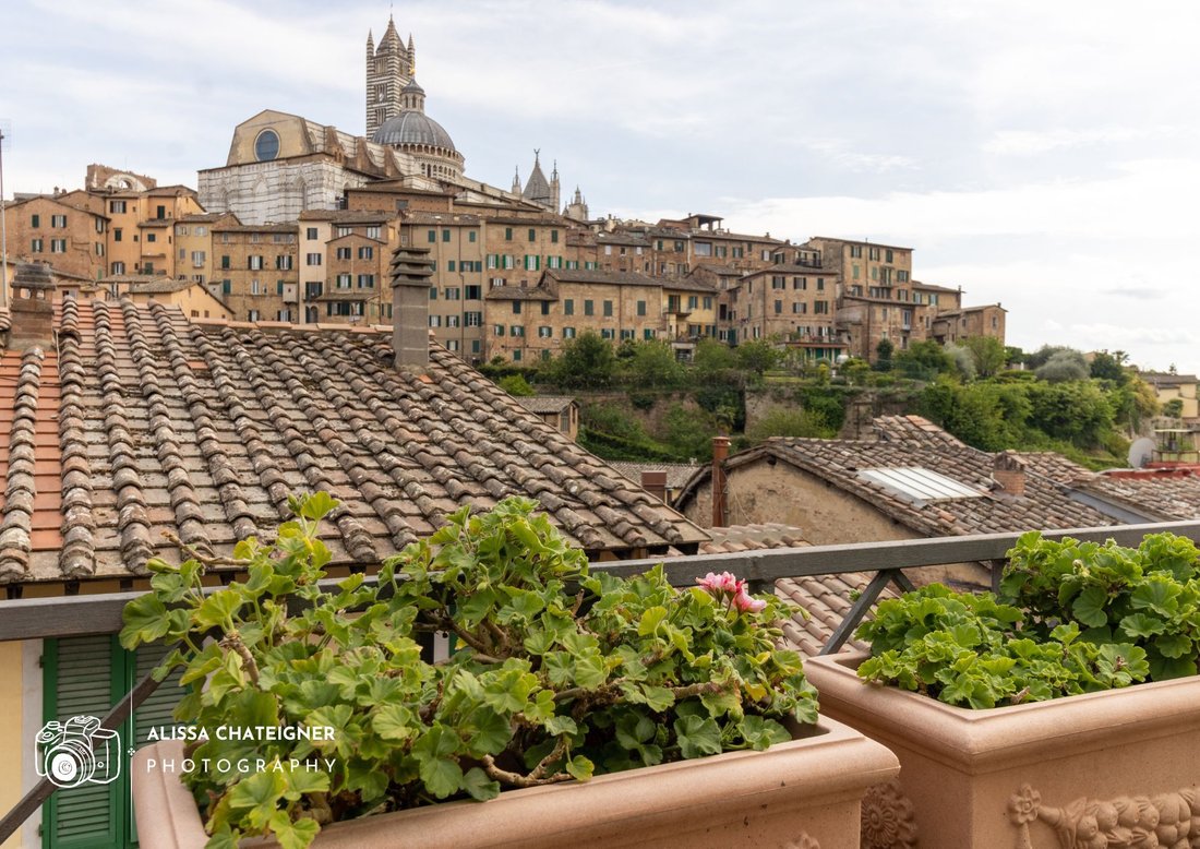 Apartment in Historic Center, Siena, Tuscany 1 - 17786002