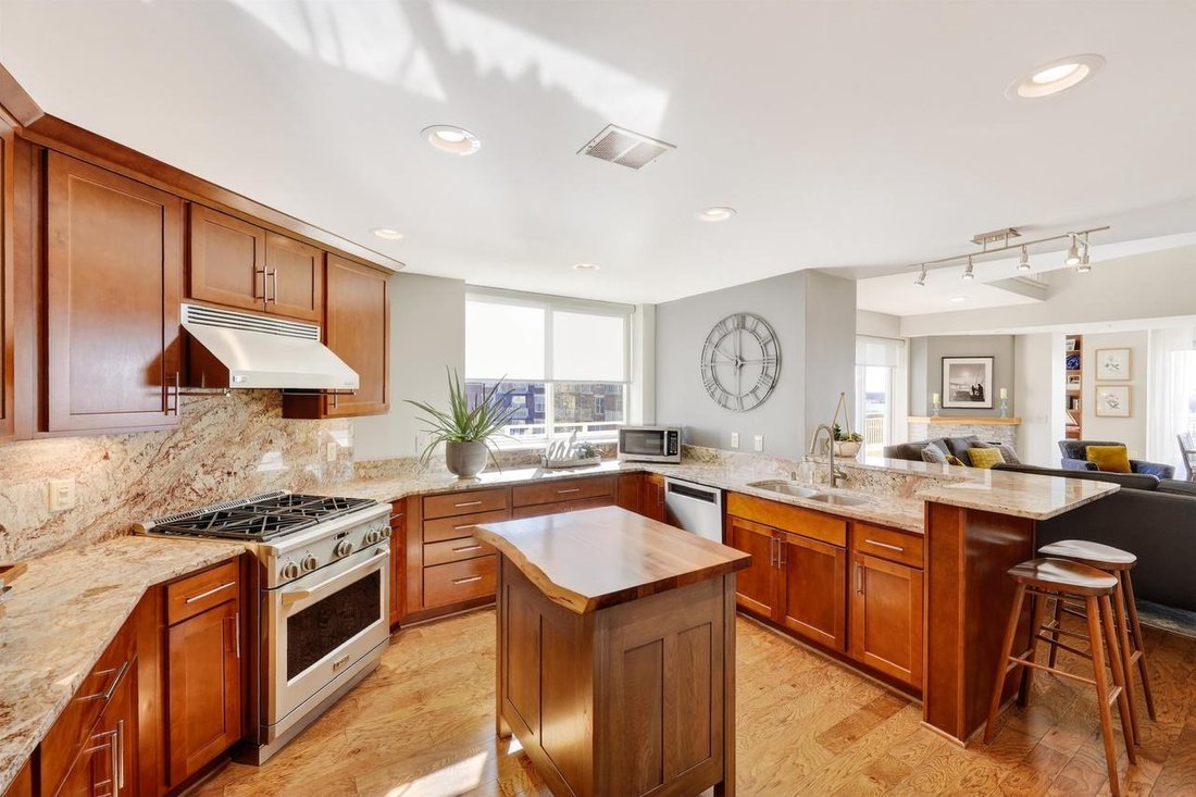 Condo in Madison, Wisconsin, United States 3 - 17788155