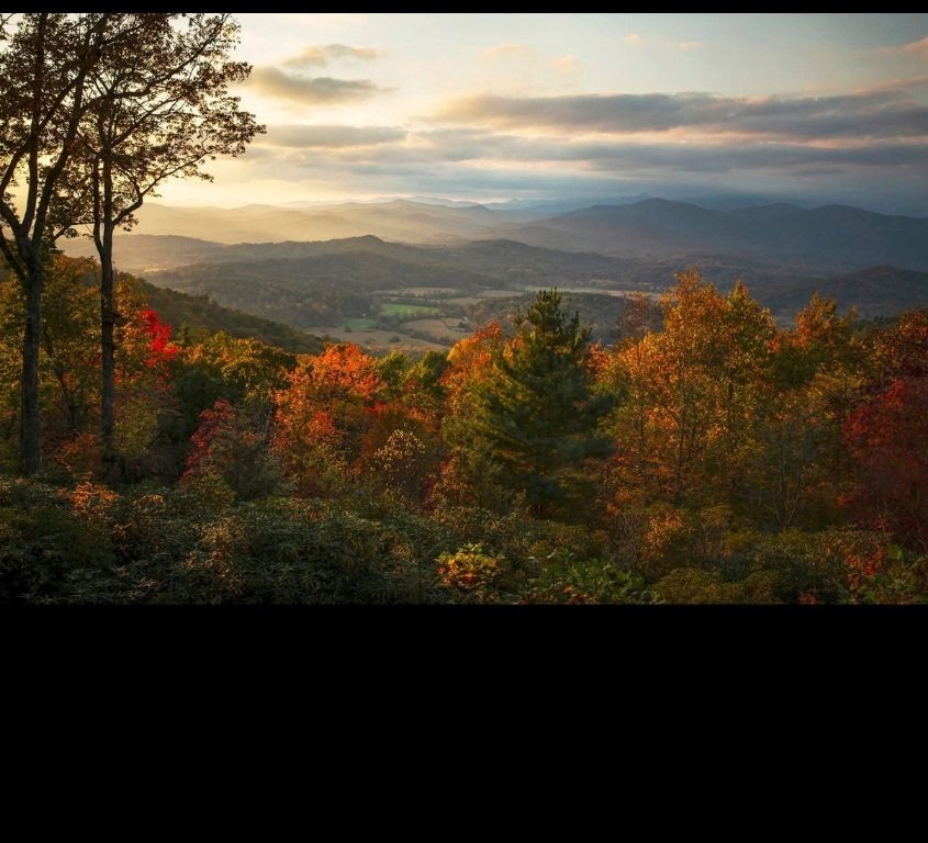 House in Brevard, North Carolina, United States 1 - 17786142