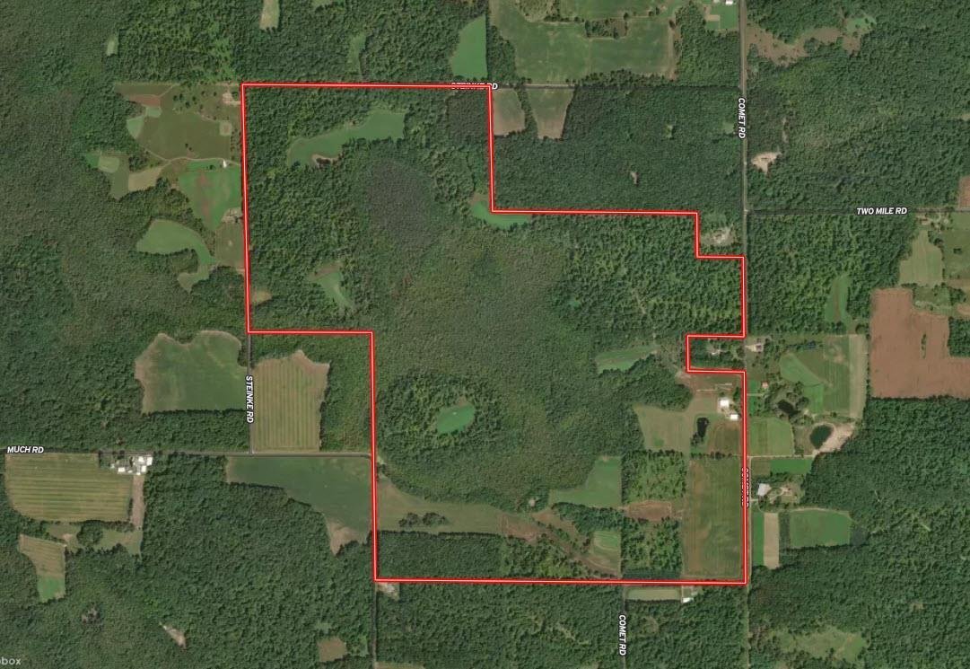 House in Tigerton, Wisconsin, United States 5 - 17787842