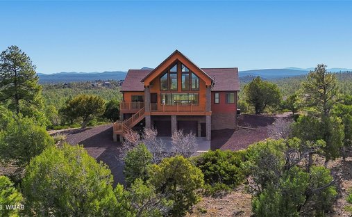 Maison à Show Low, Arizona, États-Unis 1