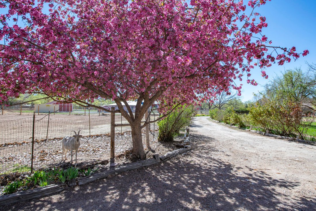 House in Corrales, New Mexico, United States 5 - 17792442