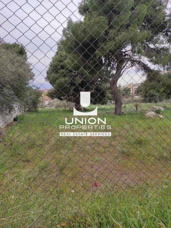 Land in Melissia, Attica, Greece 4 - 17792660
