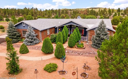 House in Show Low, Arizona, United States 1