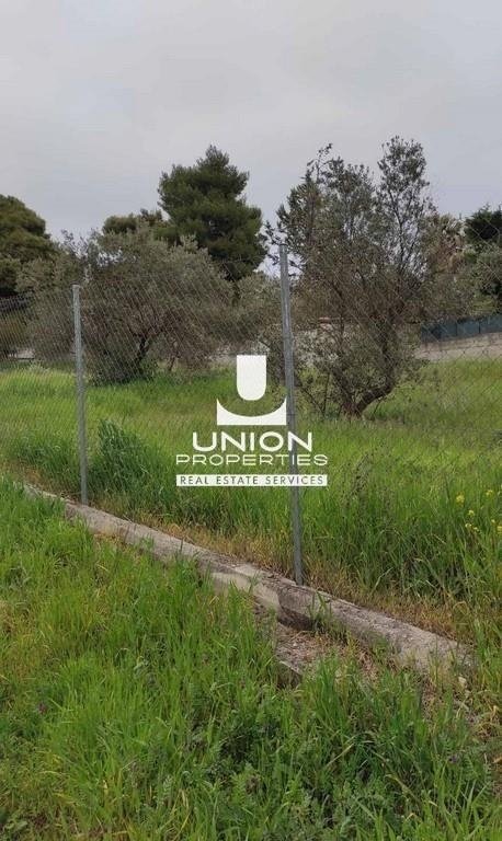 Land in Melissia, Attica, Greece 1 - 17792660