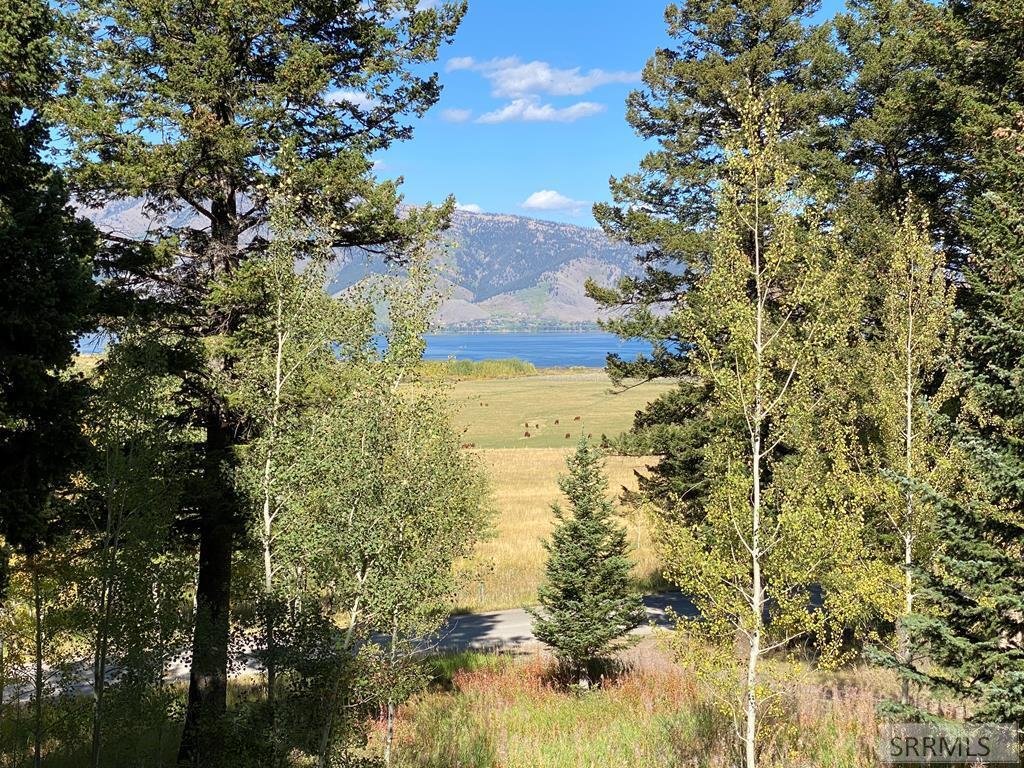 House in Island Park, Idaho, United States 3 - 17792031