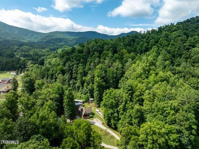 House in Erwin, Tennessee, United States 4 - 17791595