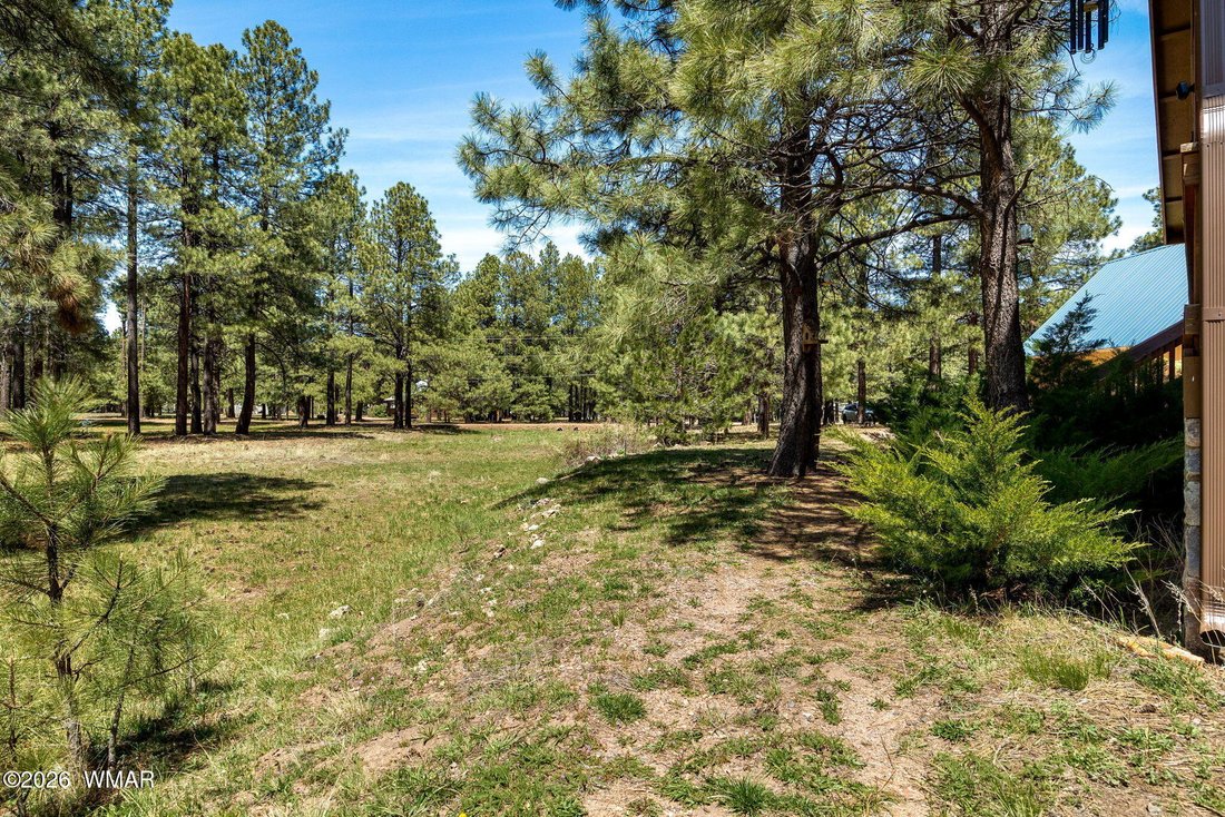 Forest Lakes, Arizona, United States 4 - 17791071