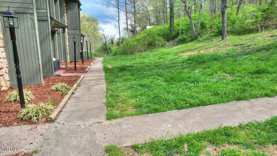 Johnson City, Tennessee, United States 4 - 17791339
