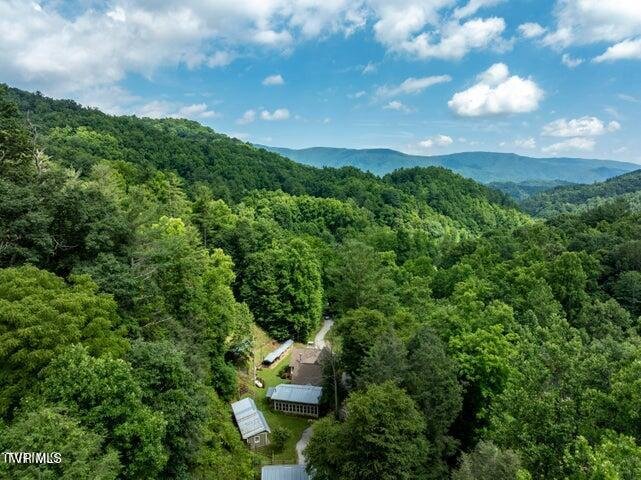 House in Erwin, Tennessee, United States 3 - 17791595