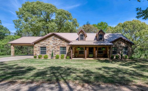 House in Palestine, Texas, United States 1