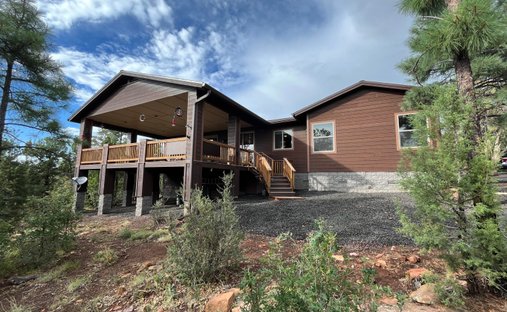 House in Show Low, Arizona, United States 1
