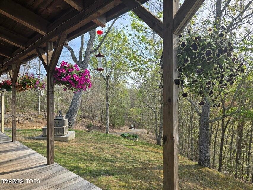 House in Rogersville, Tennessee, United States 5 - 17791434