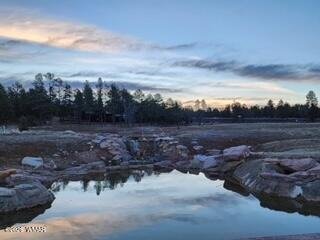 Residenza a Show Low, Arizona, Stati Uniti 2 - 17791726