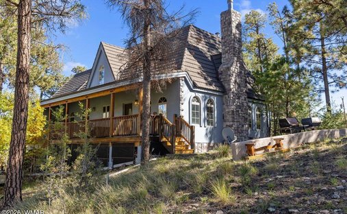 House in Alpine, Arizona, United States 1