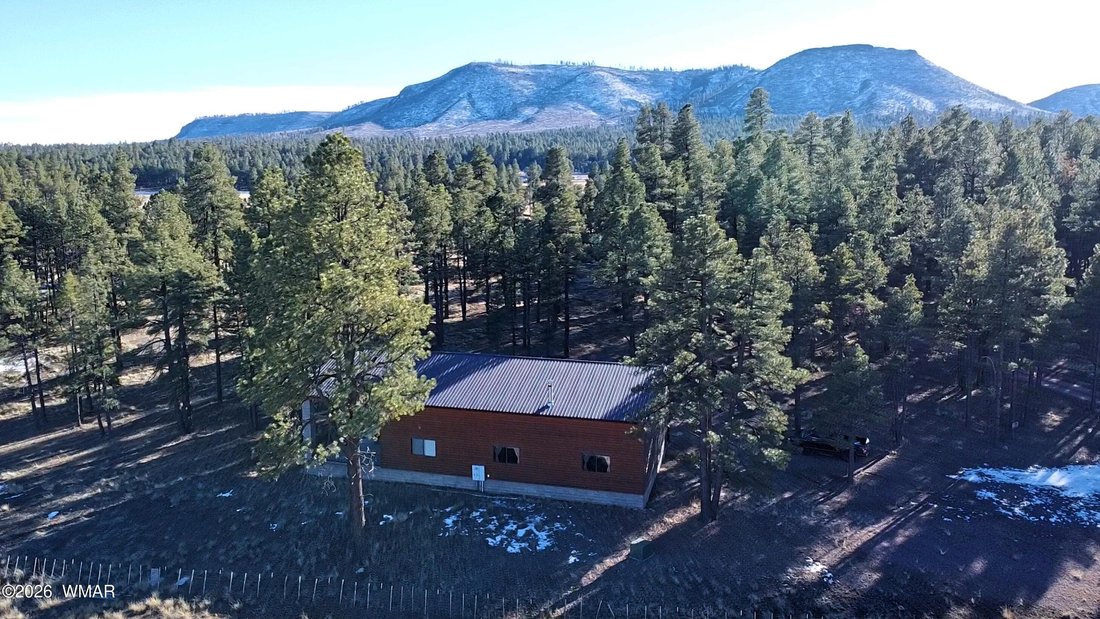 Alpine, Arizona, United States 1 - 17791390