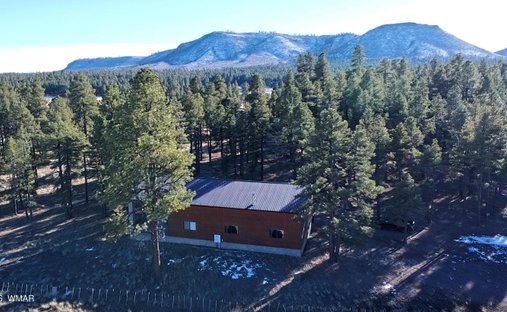 Alpine, Arizona, United States 1
