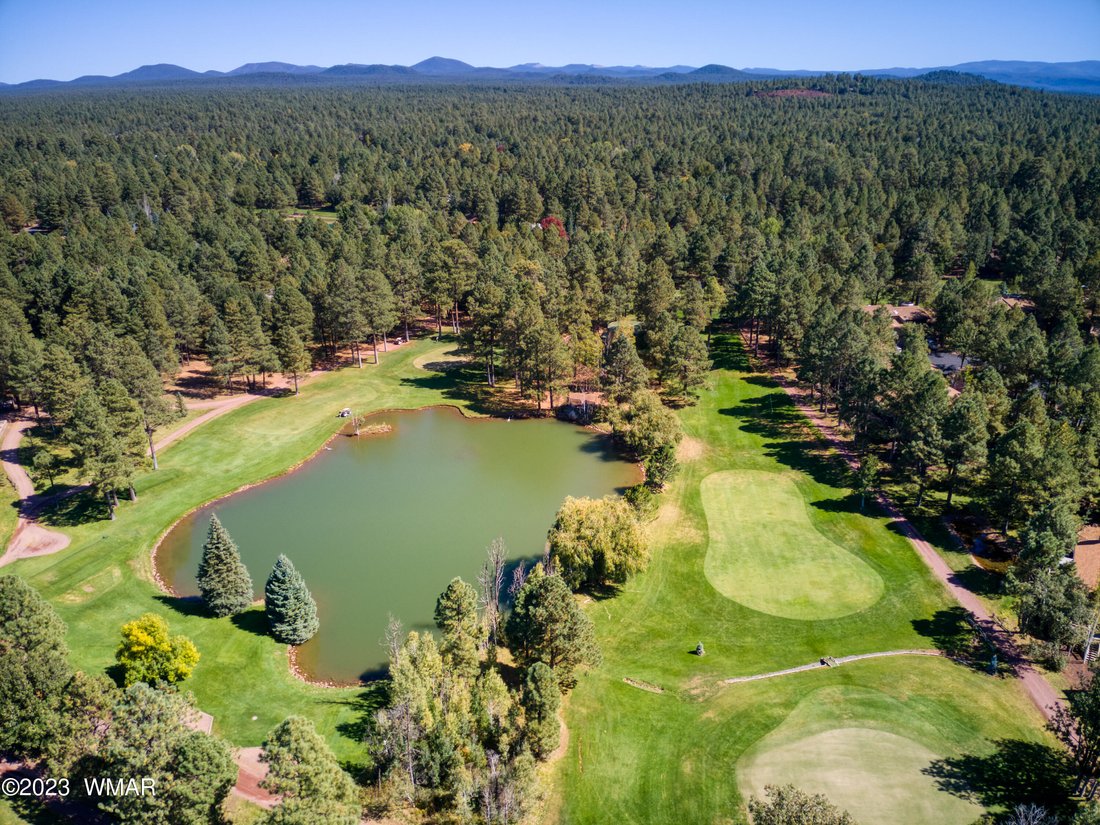 House in Pinetop, Arizona, United States 5 - 17791076