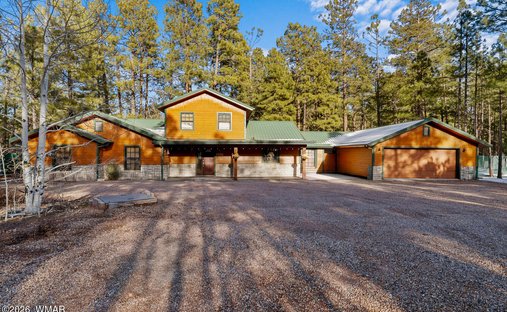 Pinetop-Lakeside, Arizona, United States 1