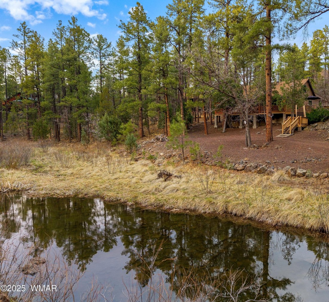 Pinetop-Lakeside, Arizona, United States 4 - 17791218