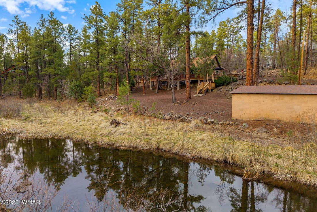 Pinetop-Lakeside, Arizona, United States 5 - 17791218