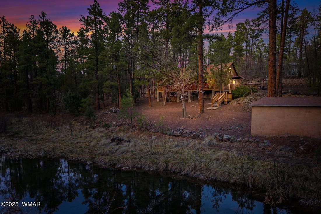 Pinetop-Lakeside, Arizona, United States 2 - 17791218