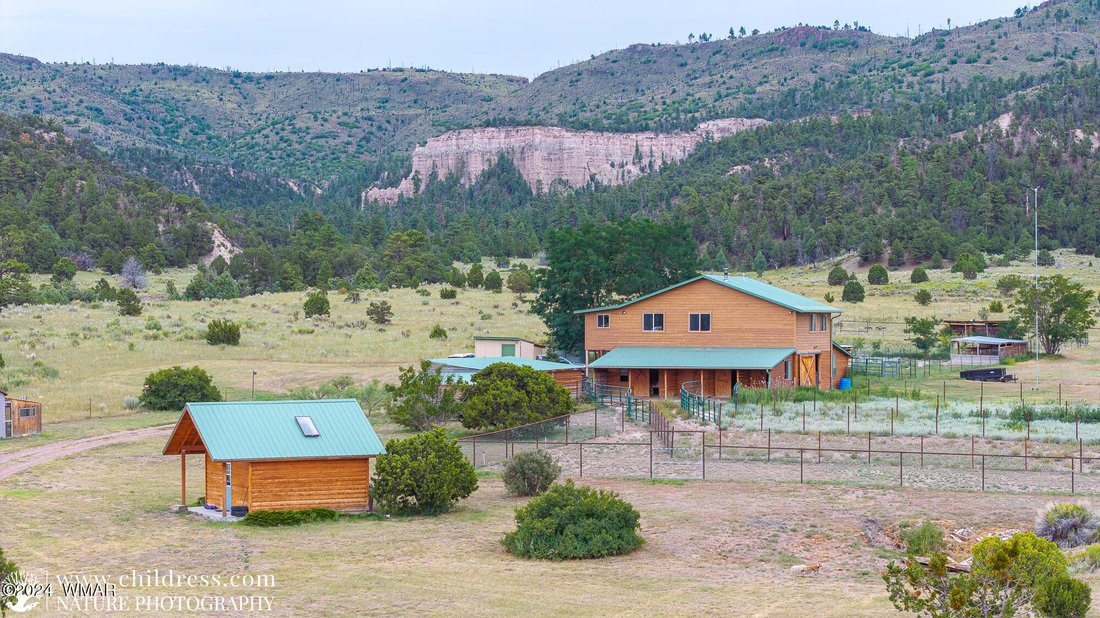 House in Nutrioso, Arizona, United States 4 - 17791286