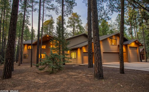House in Pinetop, Arizona, United States 1