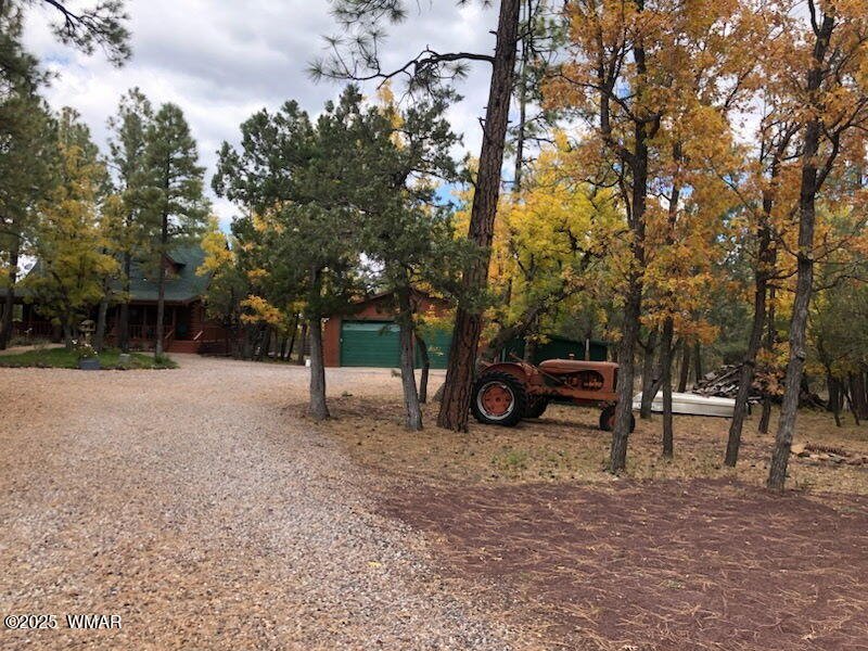 Pinetop, Arizona, United States 4 - 17791084