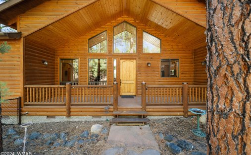 House in Show Low, Arizona, United States 1
