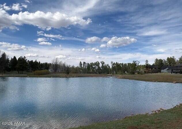 House in Show Low, Arizona, United States 4 - 17791605