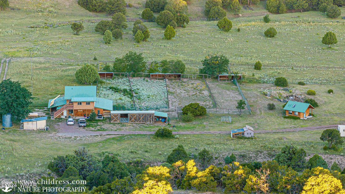 House in Nutrioso, Arizona, United States 3 - 17791286