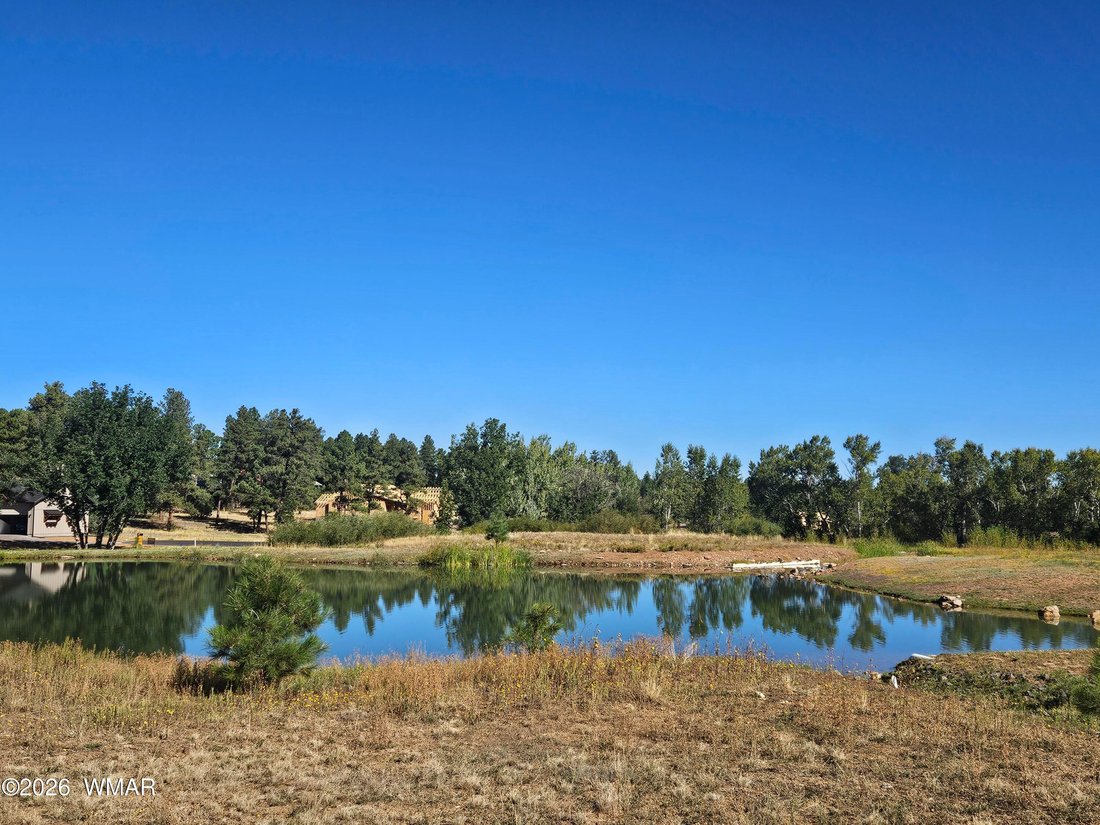 House in Show Low, Arizona, United States 5 - 17791605