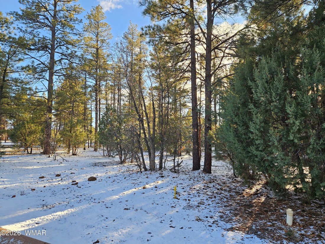 House in Show Low, Arizona, United States 3 - 17791356