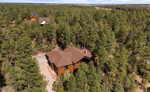 House in Show Low, Arizona, United States 1