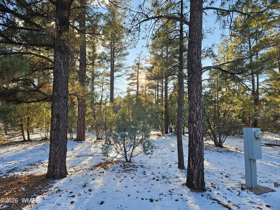 House in Show Low, Arizona, United States 4 - 17791356