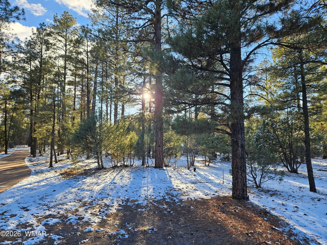 House in Show Low, Arizona, United States 2 - 17791356