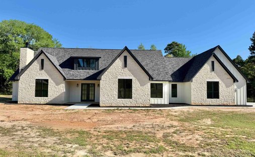 Casa en Leesburg, Texas, Estados Unidos 1