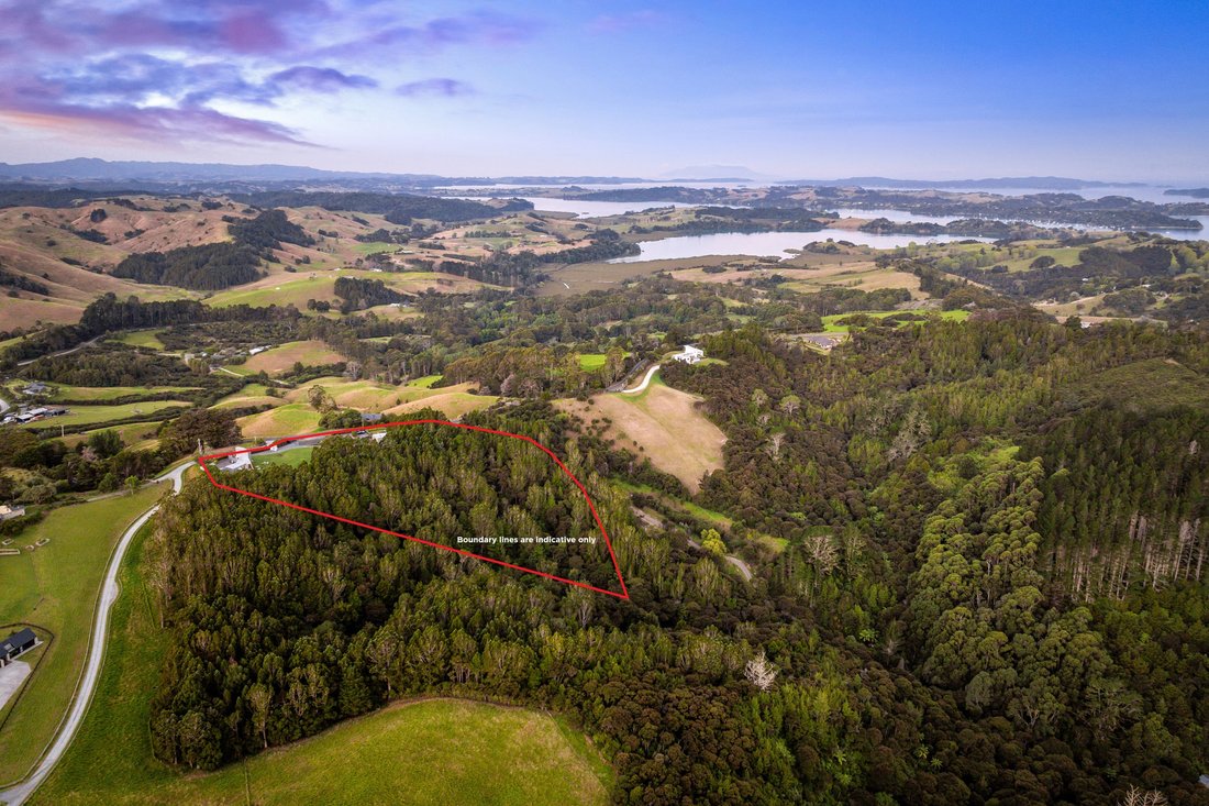 House in Puhoi, Auckland, New Zealand 5 - 17798143